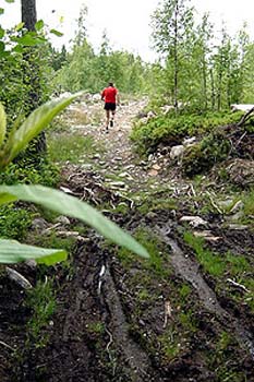 4-5km1